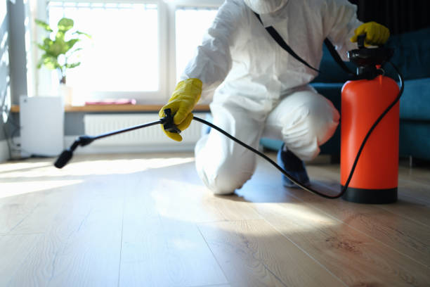 Reliable Infectious Disease Decontamination contractor in Pleasanton, TX by Trauma Clean Pros